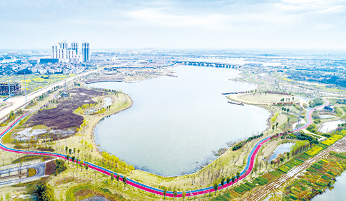 建设中的青天湖湿地公园