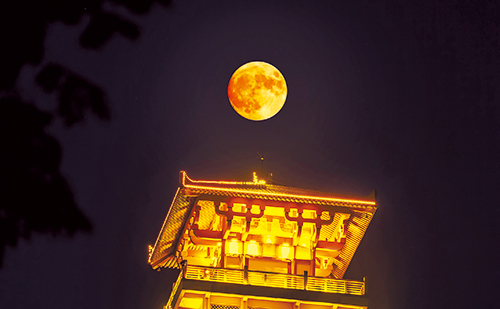 盛春花0211.jpg