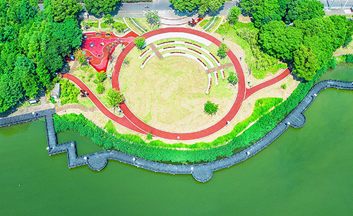 盛春花249331.jpg
