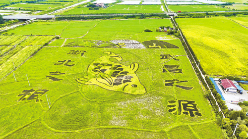 盛春花279751.jpg