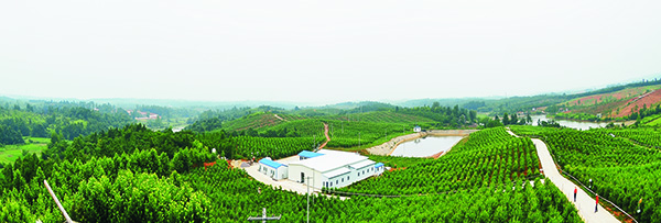 成立各类农民专业合作社.jpg