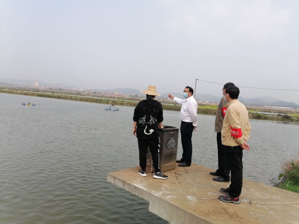 3月21日，市农业农村局局长吴斌带领局产业工作专班赴慕鱼公司鮰鱼养殖基地调研水产产业发展情况.jpg