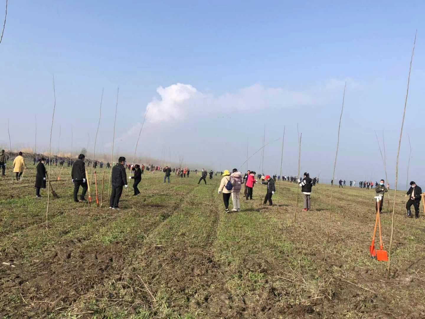 干部群众踊跃参加义务植树.jpg