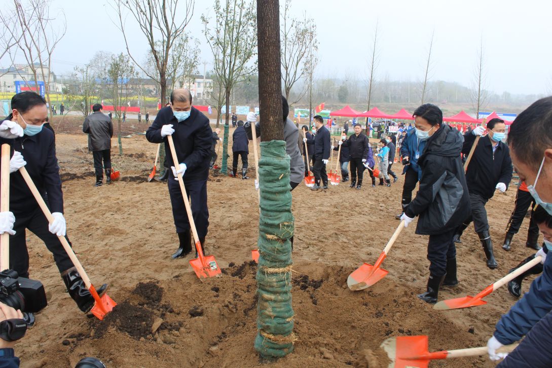 20210312承办鄂州市全民义务植树活动.jpg