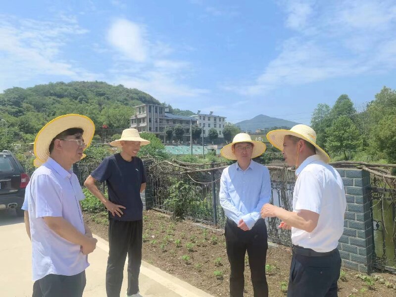 市生态环境局党组书记、局长陈炜斌就小流域综合治理试点工作到鄂城区汀祖镇进行调研.jpg