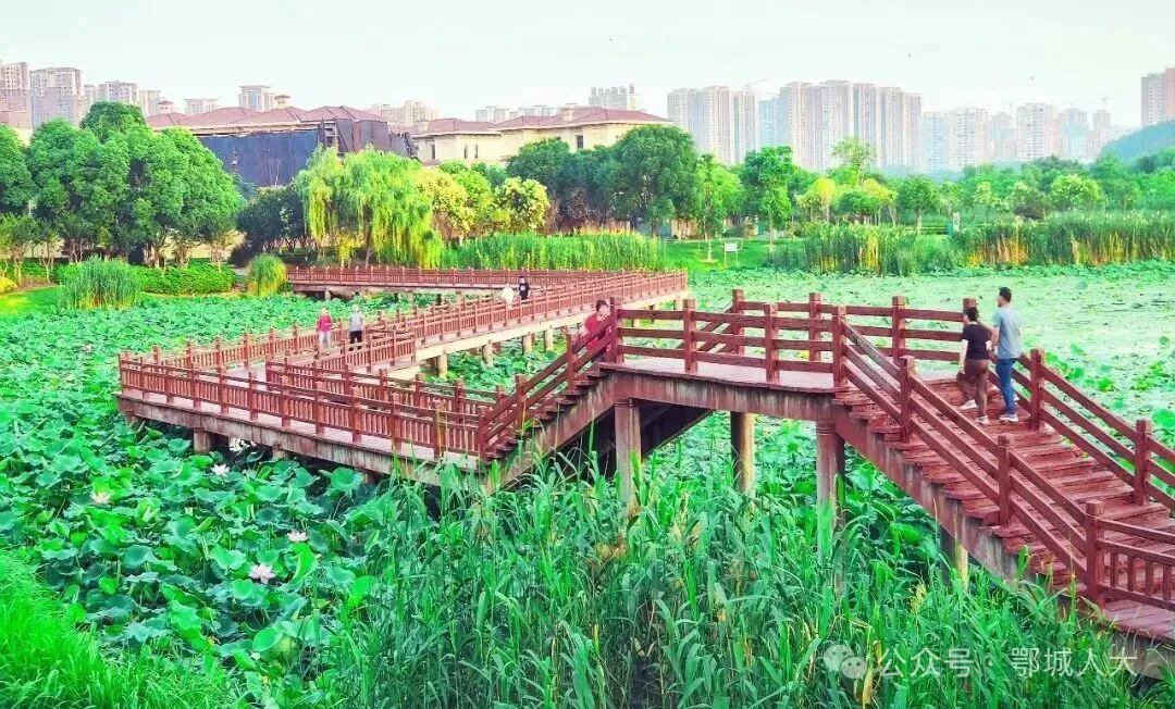 东洋澜湖湿地公园.png