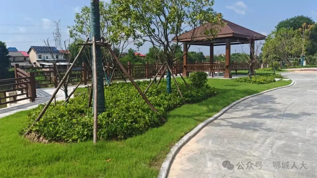 杜山镇旭东村小游园.png