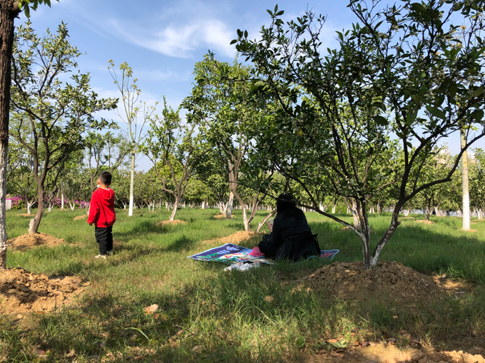 市民随意践踏草坪.